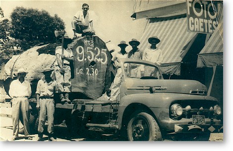 madeira2.jpg (61865 bytes)