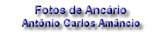 tit_ancario.gif (5818 bytes)