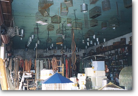 coimbra5.jpg (55061 bytes)