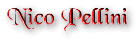 nico_pellini.gif (8156 bytes)