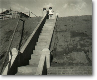 stlina_diversas_02.jpg (29681 bytes)