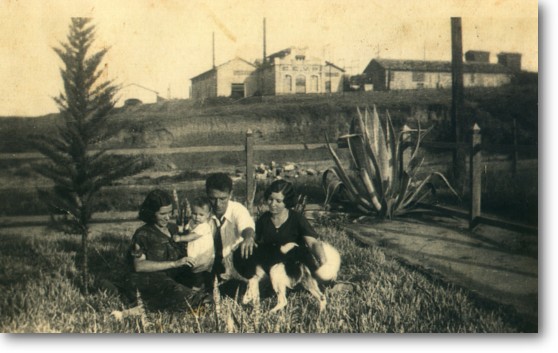 stlina_diversas_08.jpg (57113 bytes)