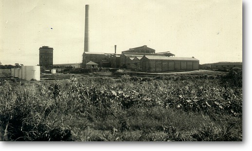 stlina_diversas_09.jpg (56465 bytes)