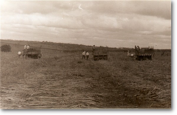 stlina_diversas_11.jpg (58830 bytes)