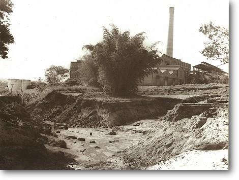 stlina_diversas_12.jpg (59351 bytes)