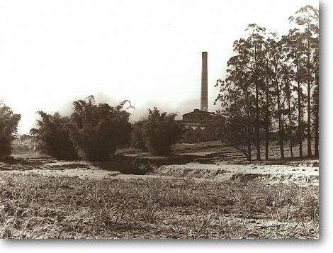 stlina_diversas_14.jpg (63890 bytes)