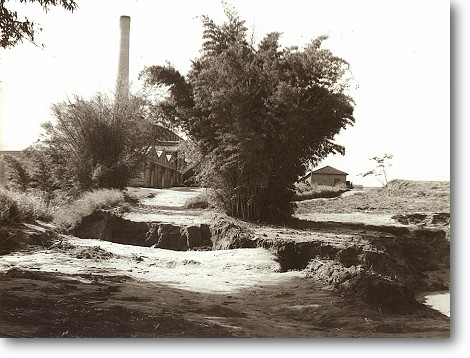 stlina_diversas_15.jpg (63095 bytes)