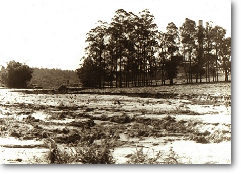 stlina_diversas_16.jpg (62475 bytes)